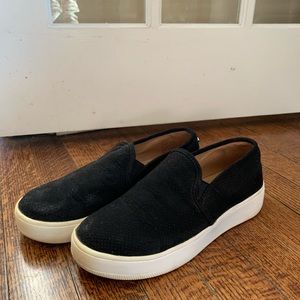 Steve Madden Platform Sneaker — Size 6.5